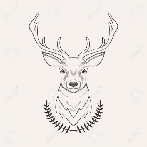 Perfect-Simple-Deer-Head-Drawings-93-For-Your-with-Simple-Deer-Head-Drawings.jpg