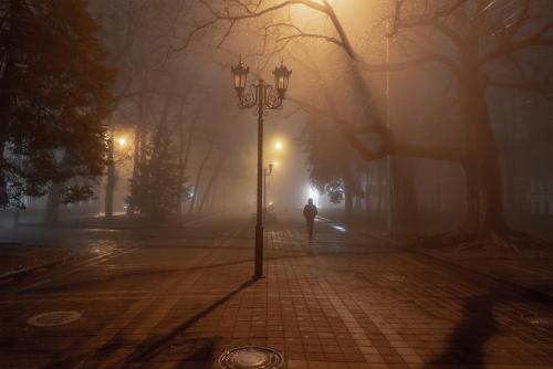 Ночной туман.jpg