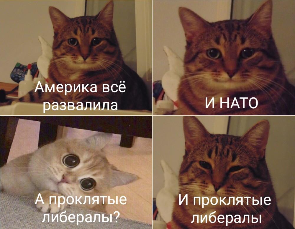 Или. Тест ты нуб или про в бравл старс. Приставки про пра па по стих. Про то или про это. Чтение вслух.
